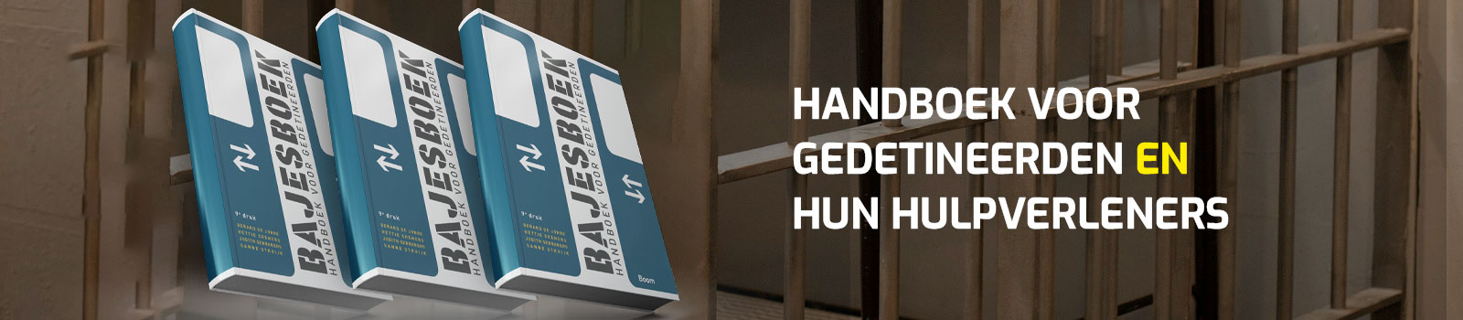Bajes Boek Online